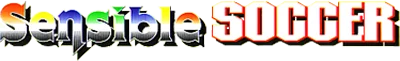 Sensible Soccer: European Champions